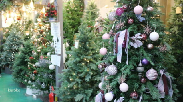 クリスマス一色のソウル花市場の画像